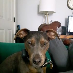 Meet your Posher, Neal